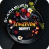 BlackBurn 25гр Something Berry (Что-то ягодное / Ягодный микс)