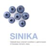 MP 50 Sinika (Ледяная Голубика)