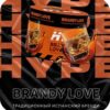 Hype 50гр Brandy Love (Традиционный испанский бренди)