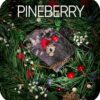 Sapphire Crown 25гр (PineBerry)