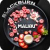 BlackBurn 100гр Malibu (Леденец Малибу)