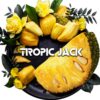 BlackBurn 100гр Tropic Jack (Джекфрут)