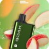 SOAK R 5000 затяжек (Анисовое яблоко)