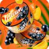 Leteam 25гр (с ягодным соком)