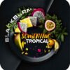 BlackBurn 100гр Something tropical (Тропический микс)