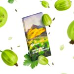 Сарма 100гр Зеленый крыжовник