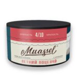 Muassel 4/10 200гр Summer kiss (Летний поцелуй)