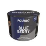 Palitra 40гр Blue Berry (Черника Голубика)